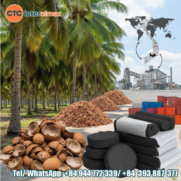 Vietnam’s Coconut Shell Charcoal: High Export Potential from Local Agriculture
